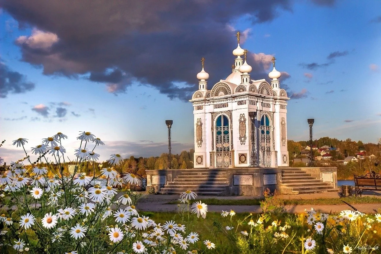 Сентябрьские ромашки