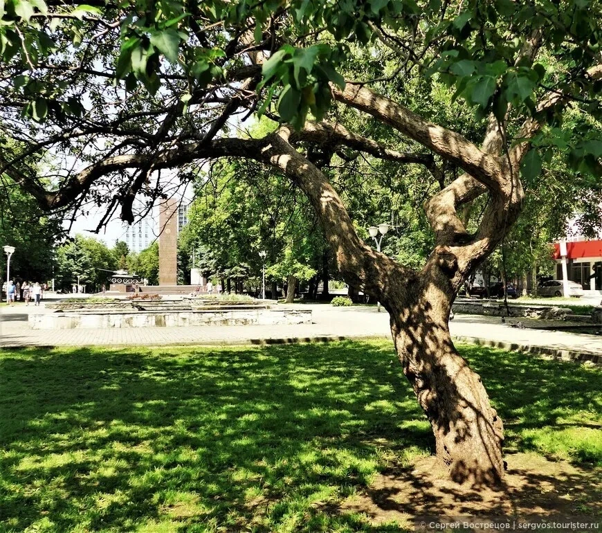 Улица Сибирская, 2018 год.