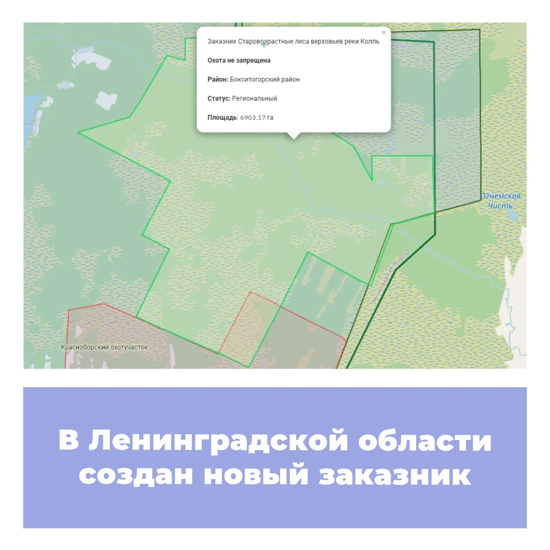 В Бокситогорском районе Ленинградской области образован государственный природный комплексный заказн