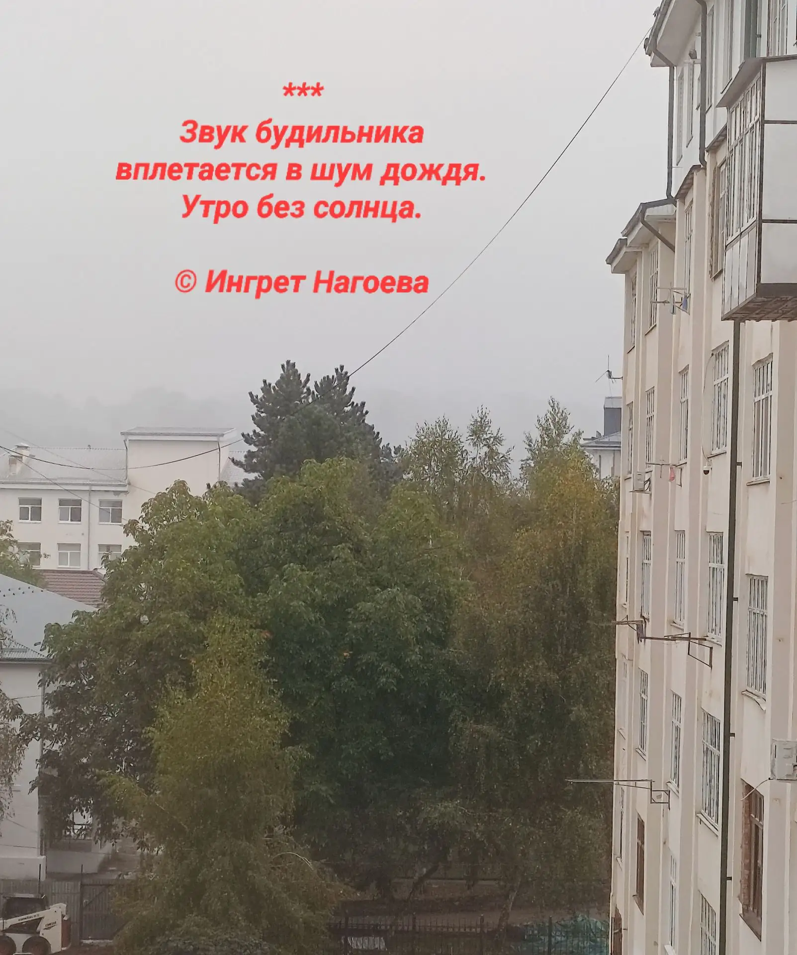 #хайку