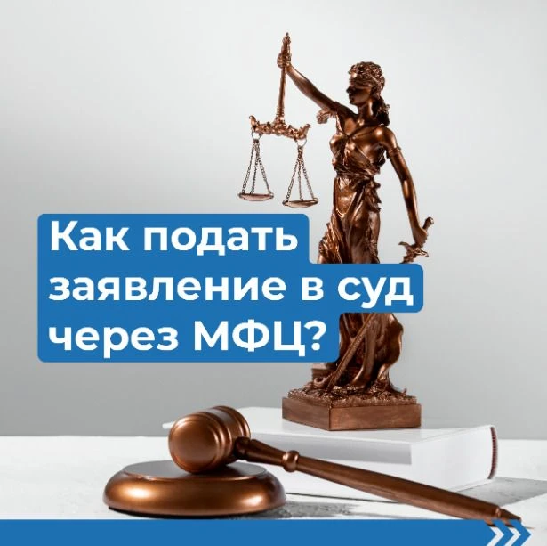 Подать иск и отправить документы в суд можно в отделении МФЦ — через портал ГАС «Правос...
