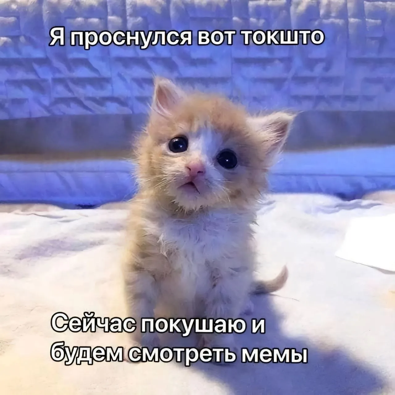 ☀️ Доброе утро!