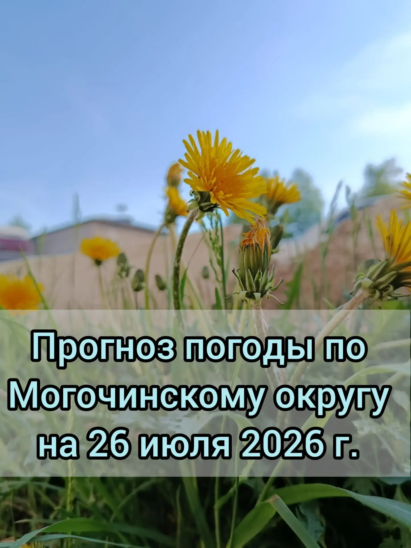 🌥️Прогноз погоды по Могочинскому округу на 26 июля 2026 г.
