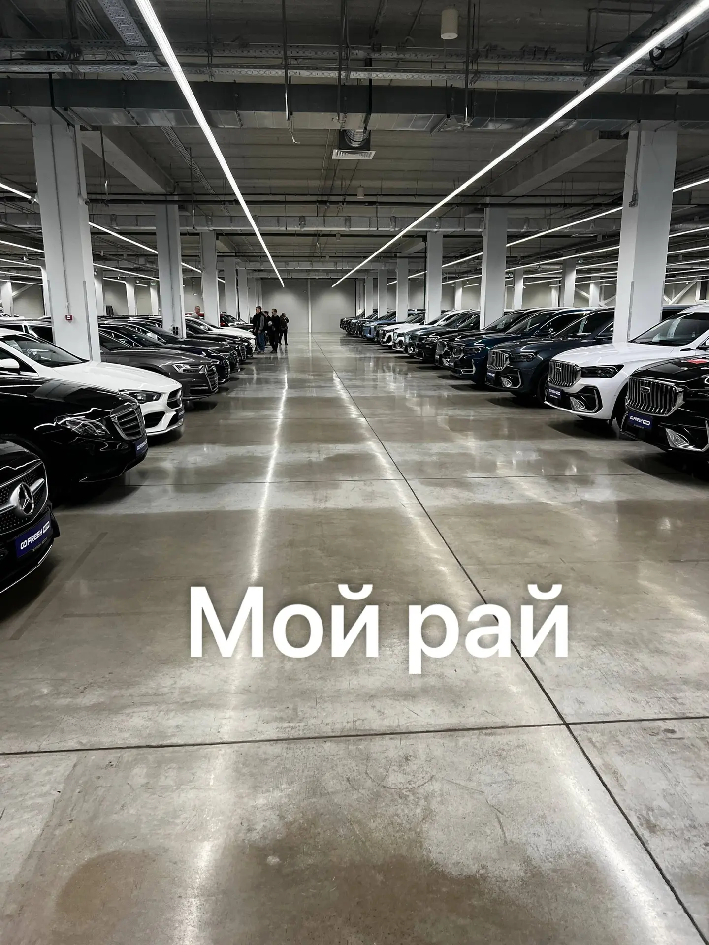 Друзья, хочу рассказать о еще одном своем пристрастии - АВТОМОБИЛЬНЫЙ МИР!