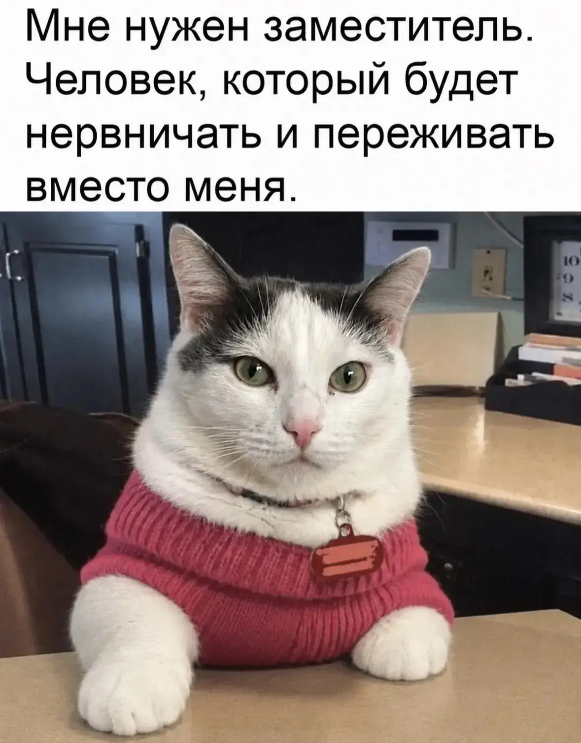 Кто хочет? Пишите

🍷 Наш бот знакомств  - max/ЗНАКОМСТВА
🍑Анонимный чат - max/АНОНЧАТ