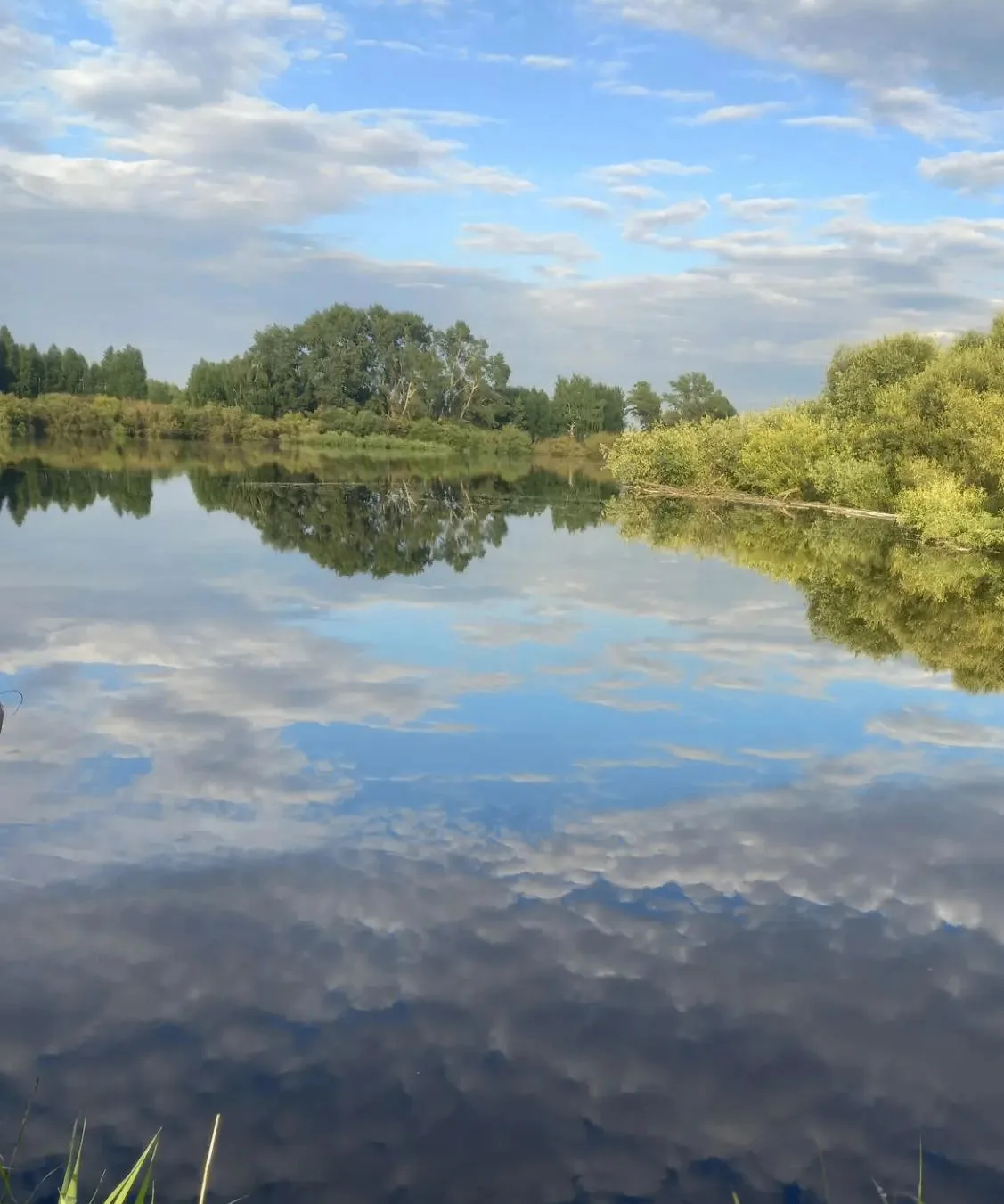 ГОСУДАРСТВЕННЫЙ ВОДНЫЙ РЕЕСТР

Государственный водный реестр (ГВР) - систематизированный свод докуме
