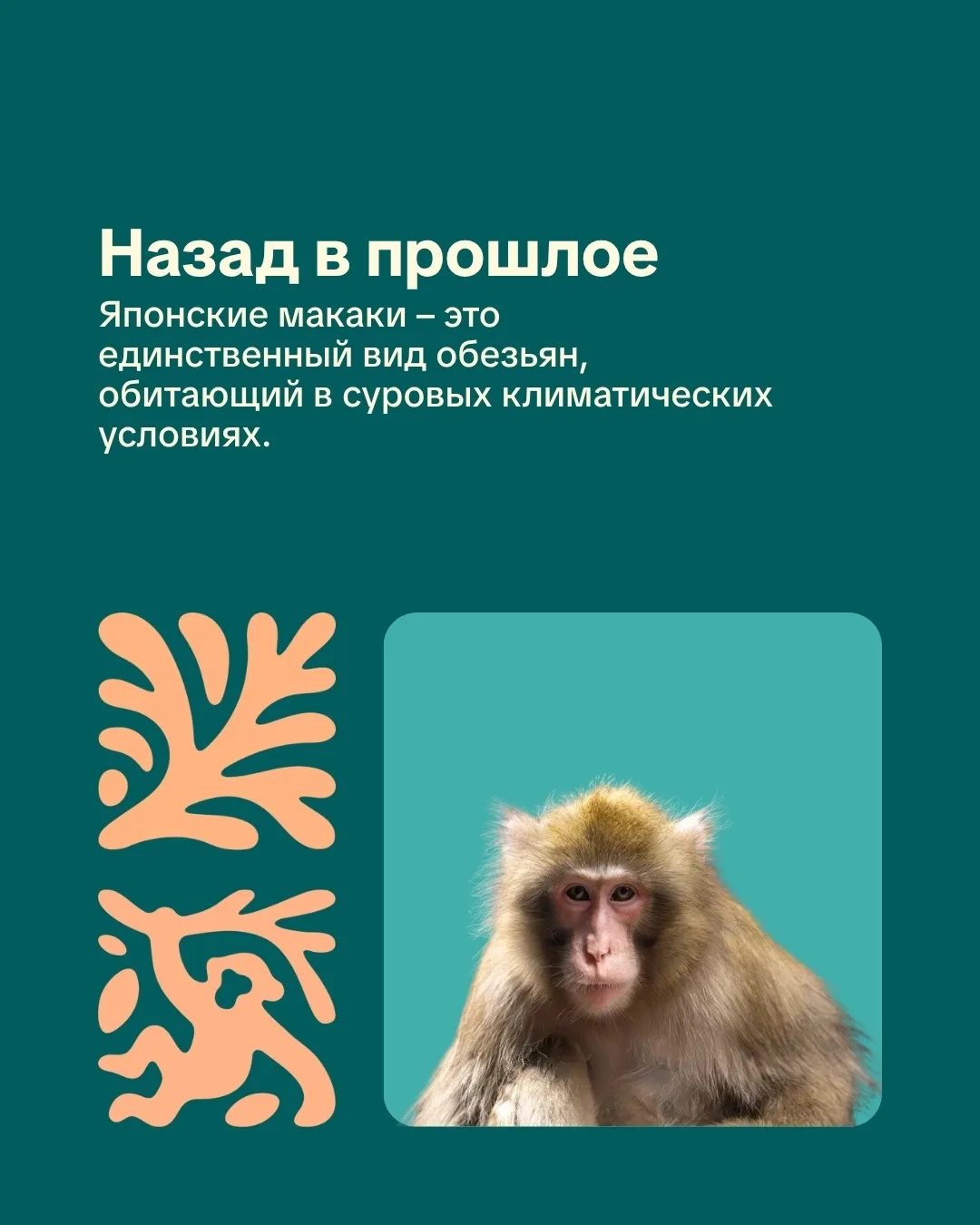 Горский | Ленинский район | Новосибирск🏡