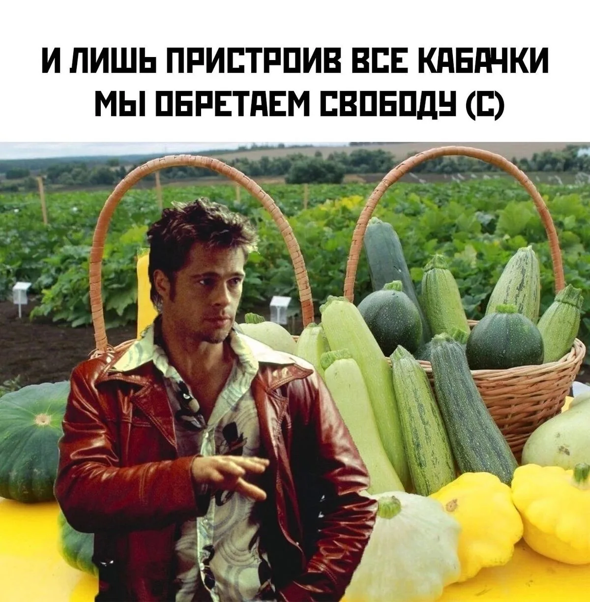 Что-то уже и не хочется так активно кабачки раздавать, вон сколько всяких рецептов вкусных появилось