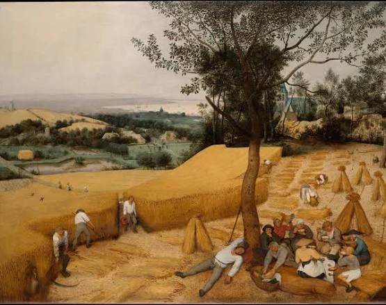 Картины Питера Брейгеля Старшего «Сенокос» и «Жатва» (1565) произвели революцию в искус...