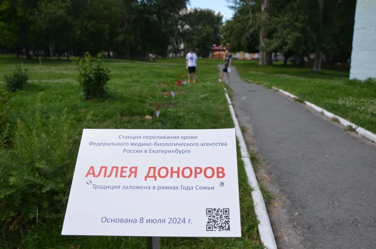 Дорогие доноры!
Нам нужна помощь мужчин для подготовки к высадке саженцев ко Дню донора. Необходимо 