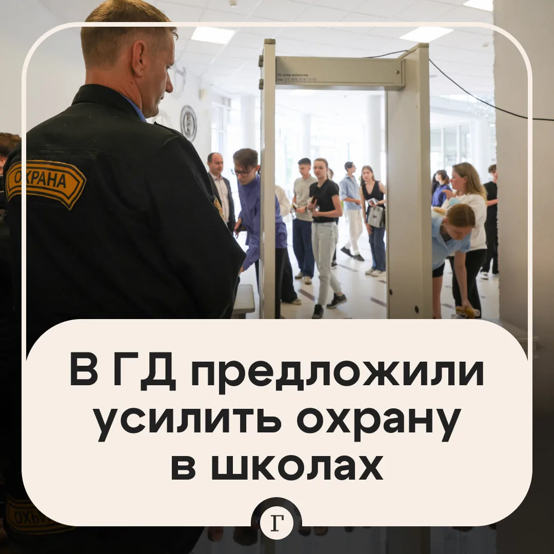 В Госдуме предложили правительству разработать новую систему безопасности школ.