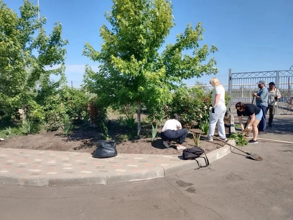 ✨Хорошо, когда дружно и все вместе!   Родители учеников начальной школы привели в порядок школьный р