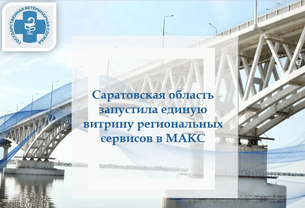 Саратовская область запустила единую витрину региональных сервисов в МАКС