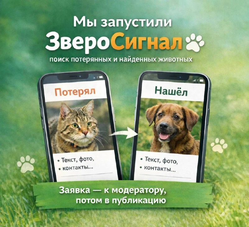 Друзья,