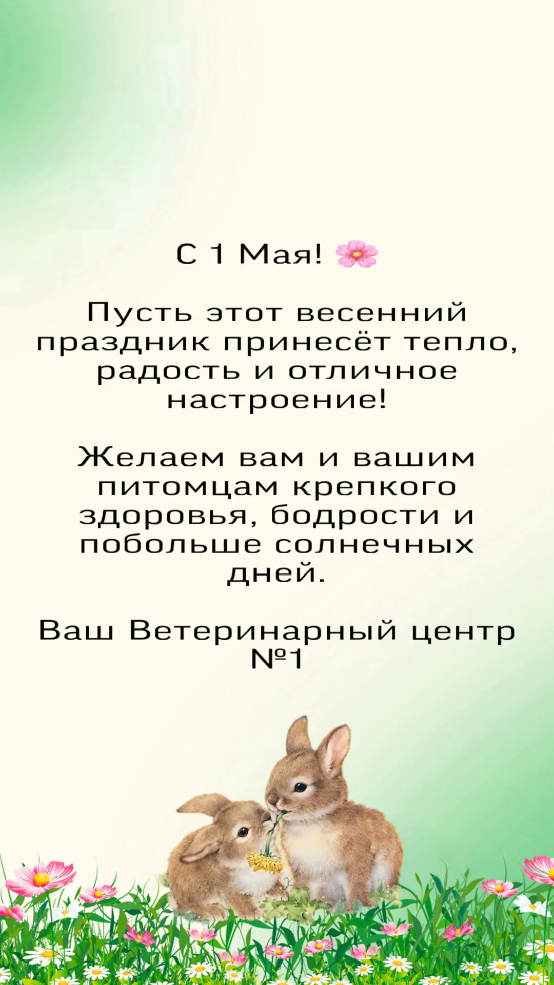 💚🐾