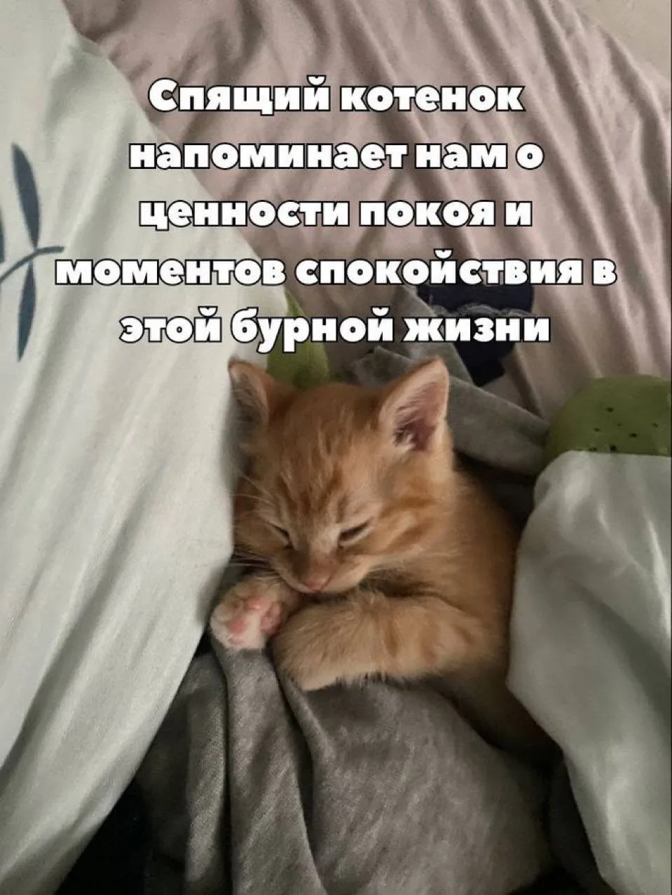 Всем спокойной ночи😴