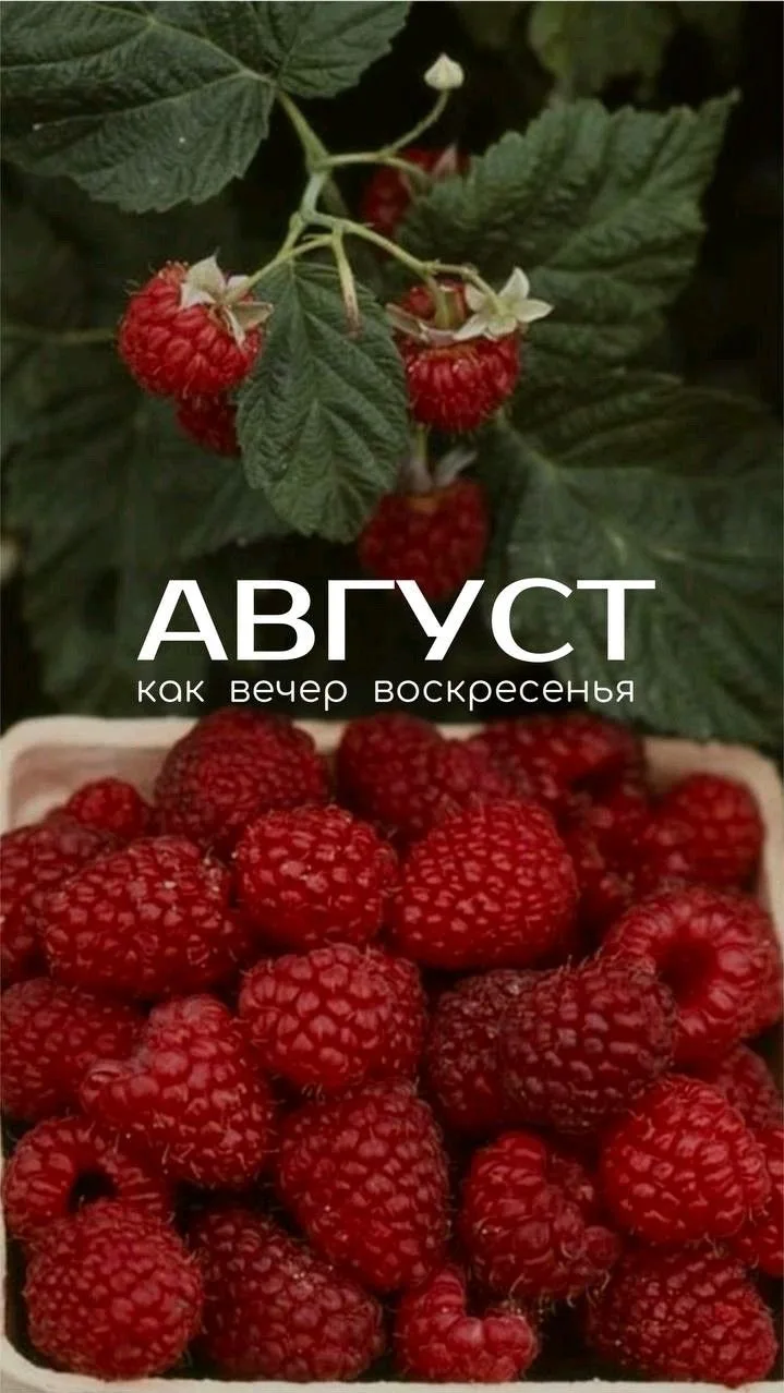 26.08.2026