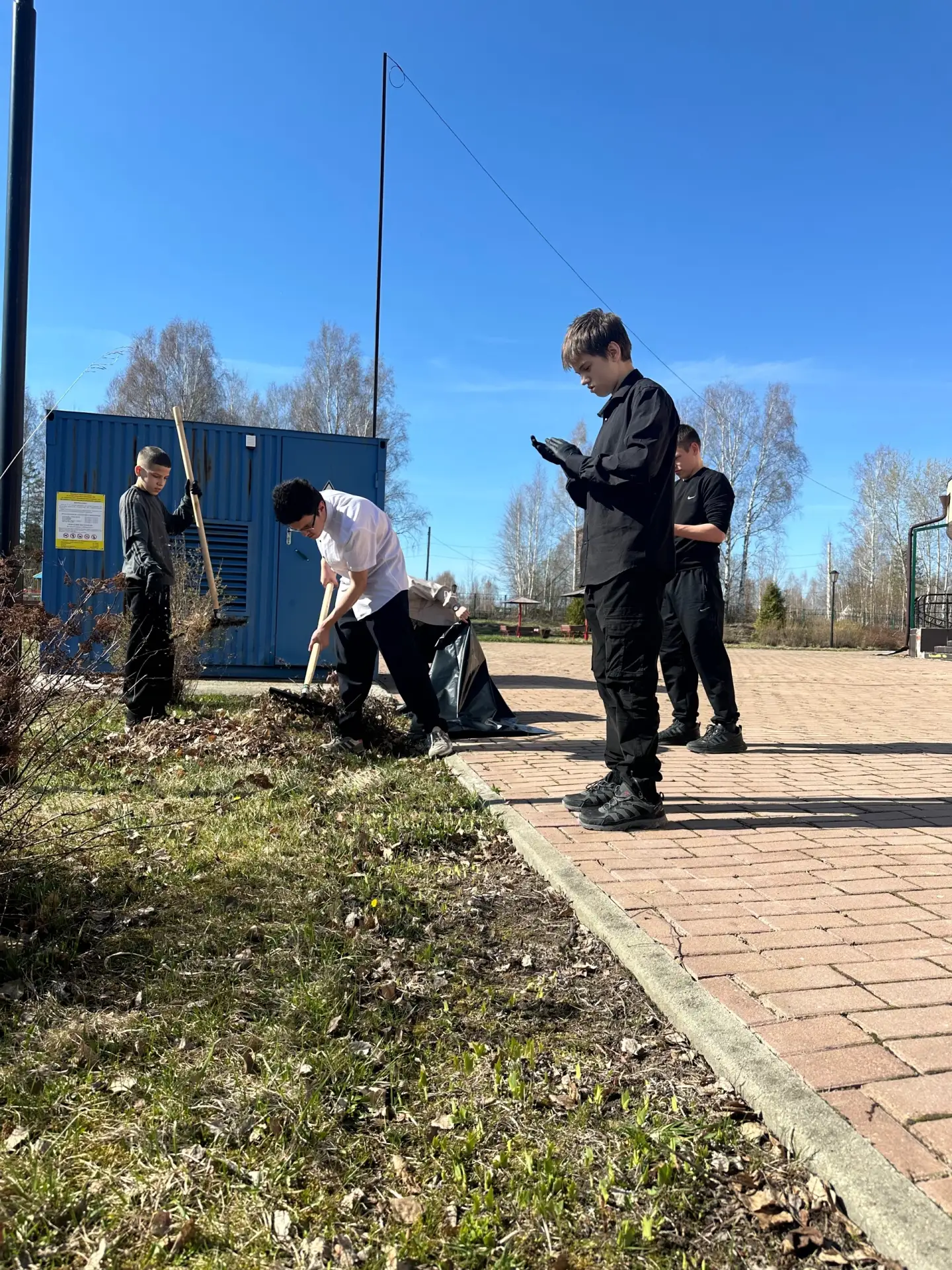 🌿 Субботник — сделано! ✅