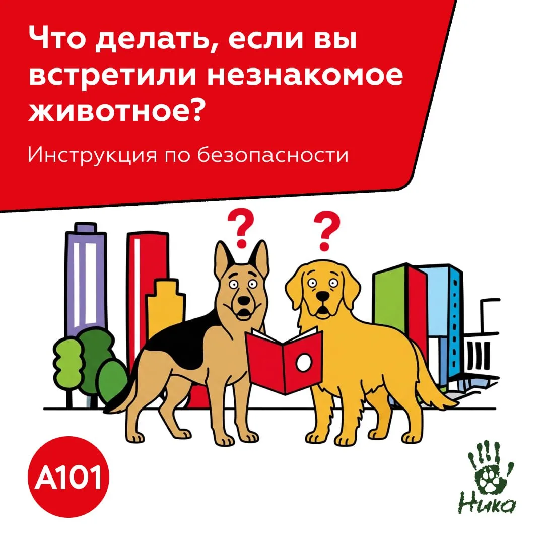 Встретили животное на улице? Рассказываем, как действовать

🌳 В наших районах много зеленых простра