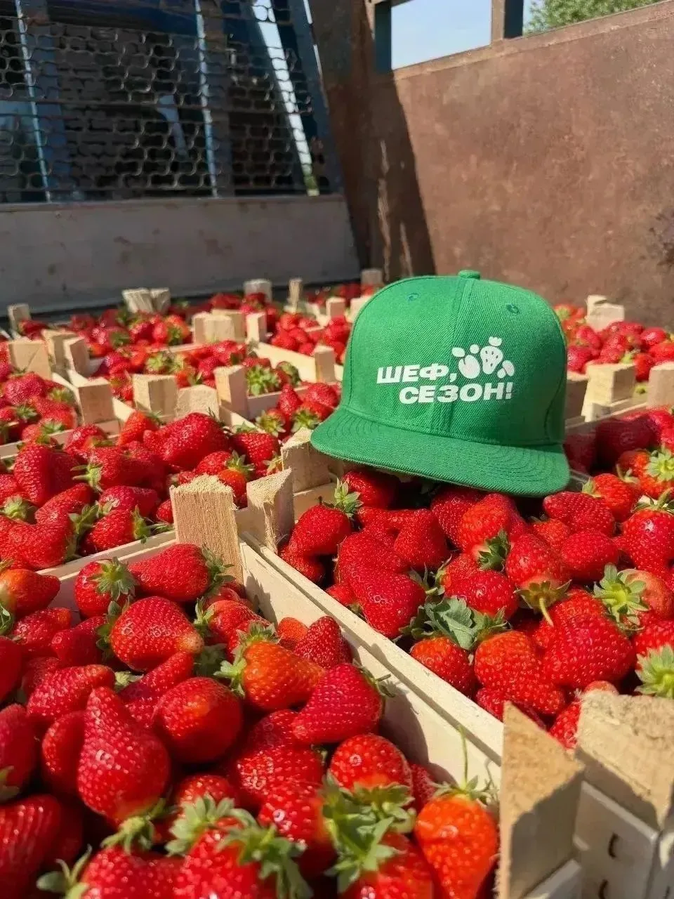 Шеф, Сезон везет сочную клубнику, черешню, манго в Ярославль!🍓🍒🥭  Поставка и выдача:  предварительно