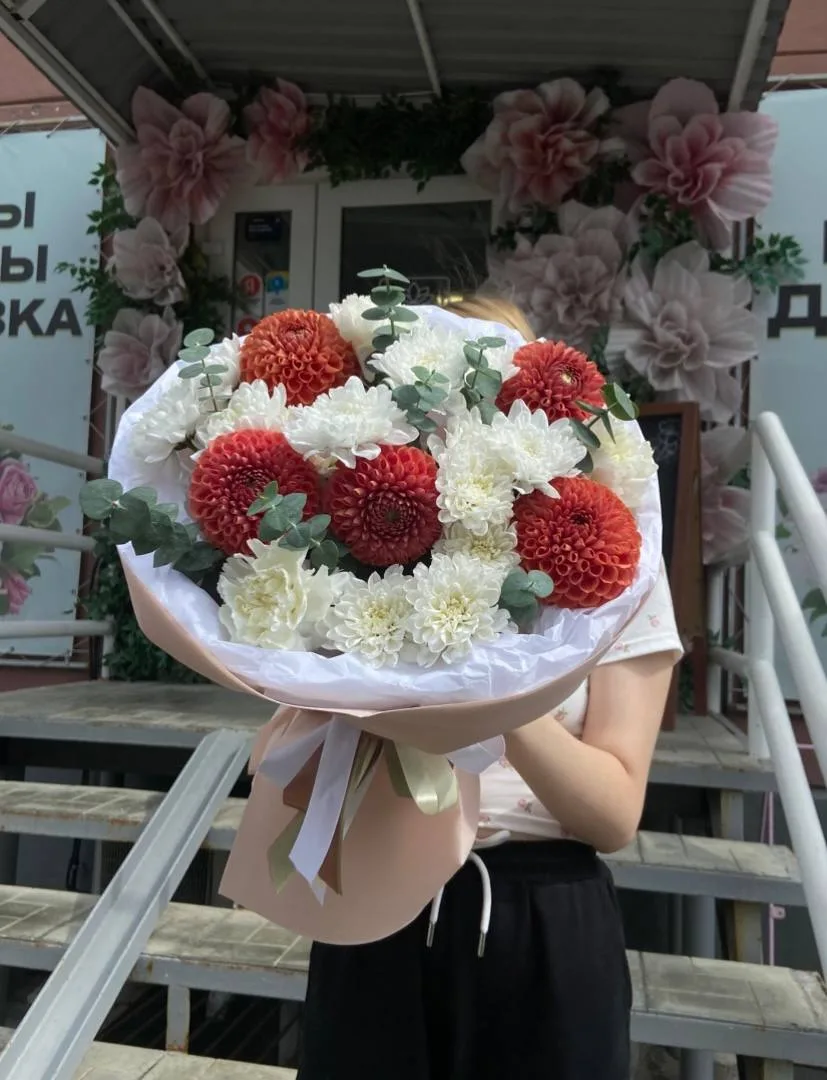 Все о георгинах: