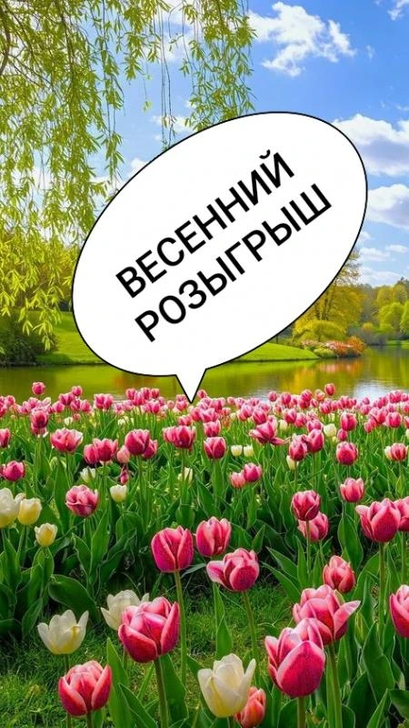 ДАРИМ ДЕНЬГИ  за подписку на каналы