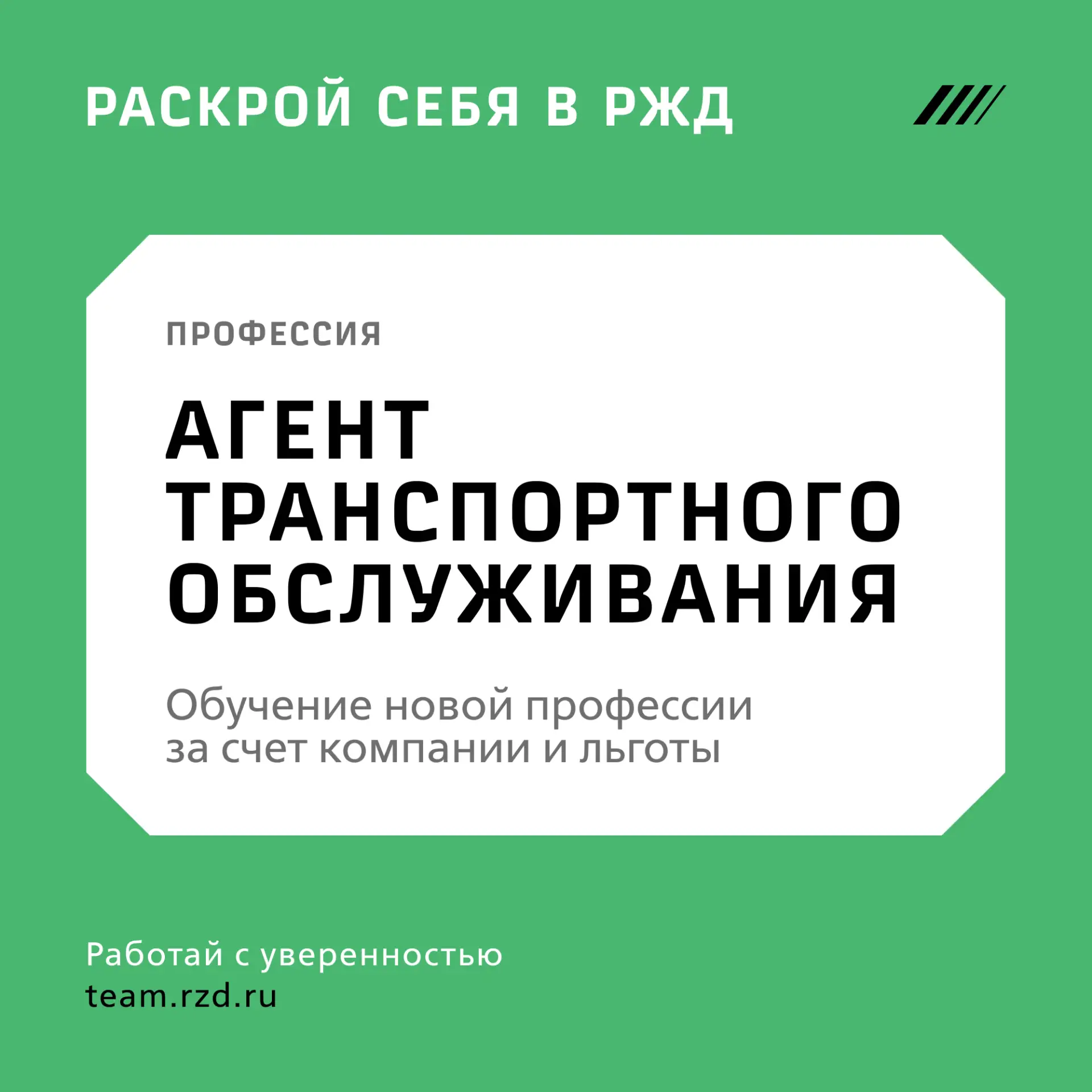 ️⚡️Агент транспортного обслуживания — рассказываем о профессии. Как и где учиться, какие задачи вас 