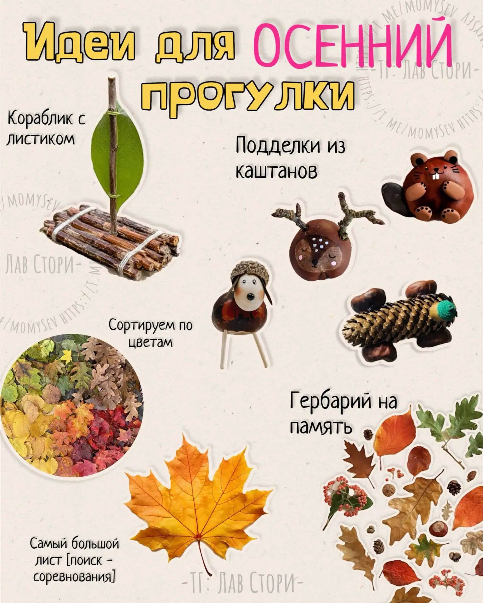 🥁Завтра можно устроить охоту за осенними сокровищами