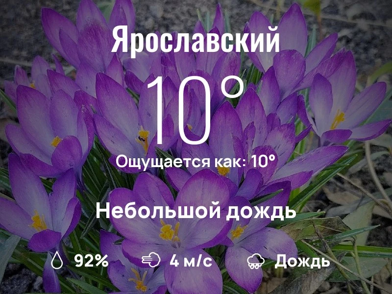 Что с погодой в Ярославском?