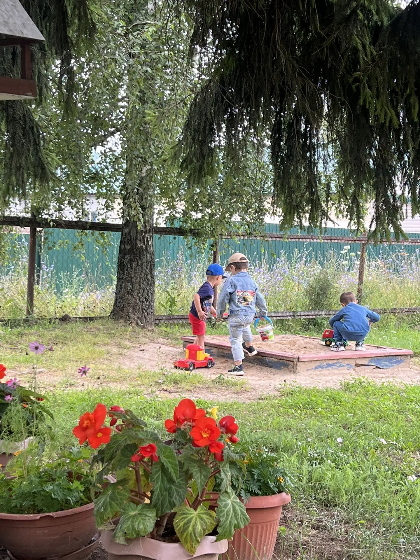 🌸🍃Прогулка в разновозрастной группе 🌳🍃