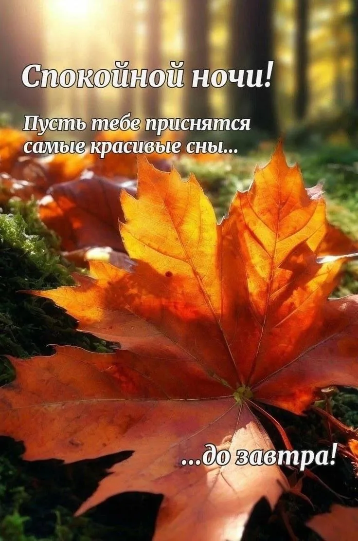 🥰 Оставляйте реакции, если понравилась открытка и делитесь с близкими ❤️