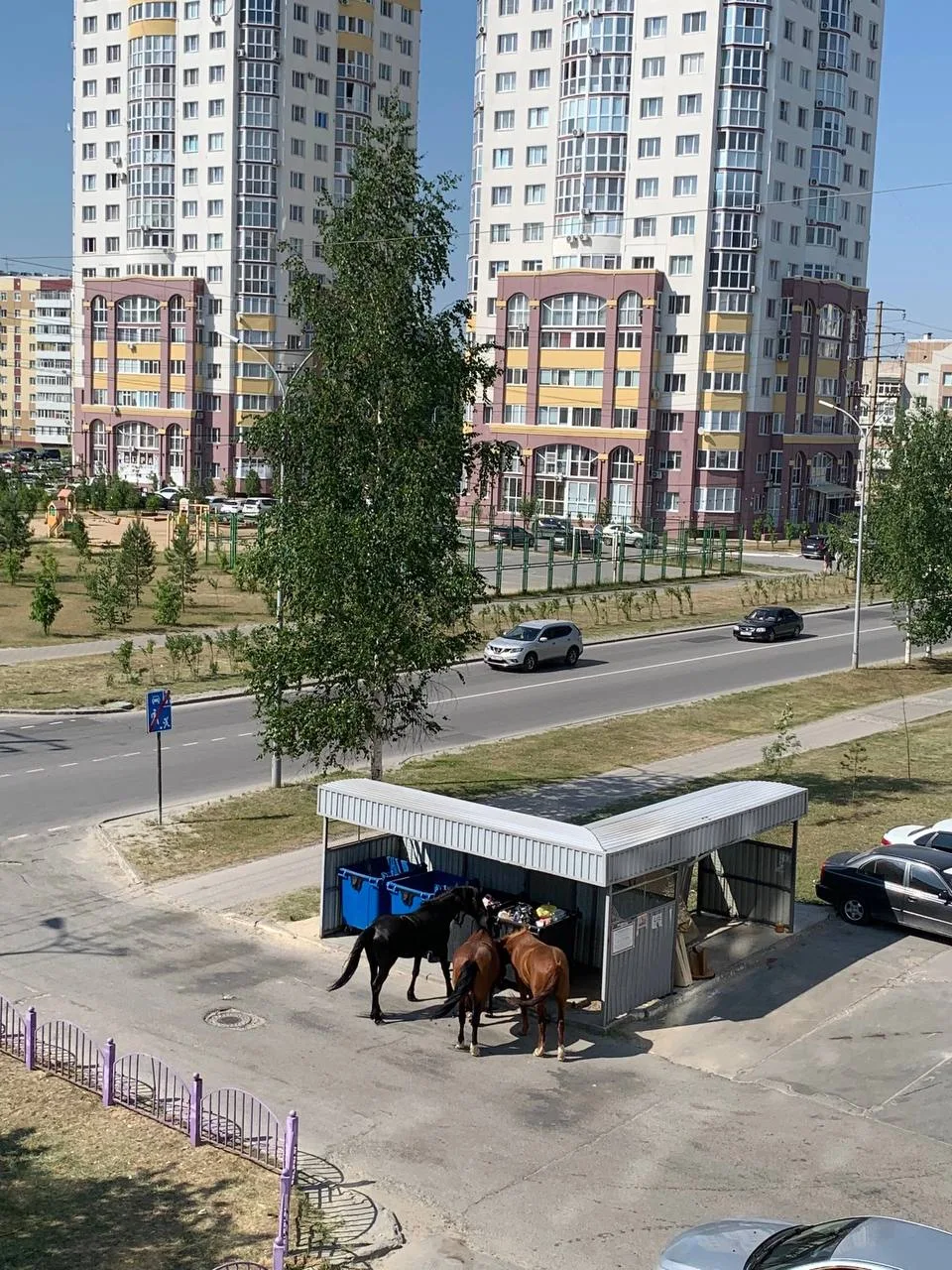 Слов нет…. Даже нецензурных… 😡 Ждём очередной ответ-отписку 🤷🏻‍♀