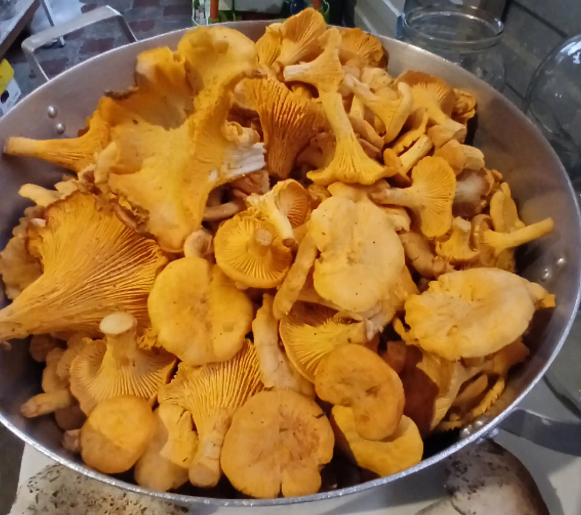 Заготавливаю лисички.