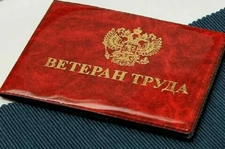 Граждане Российской Федерации, постоянно проживающие и зарегистрированные по месту жительства в Рост