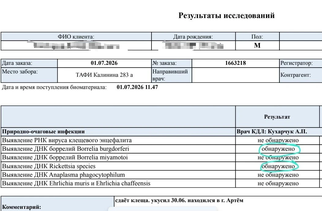 3 000 РУБЛЕЙ ЗА АНАЛИЗ КЛЕЩА, ПОЛОЖИТЕЛЬНЫЙ ТЕСТ НА БОРРЕЛИОЗ И БЕССОННАЯ НОЧЬ ГУГЛЯ СИ...