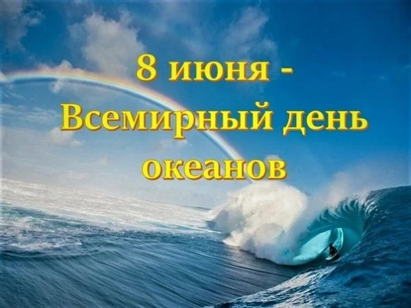 8.06.2026