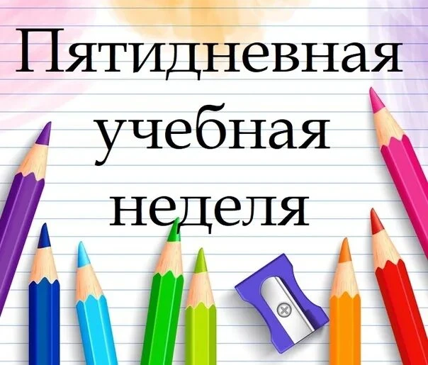 В Набережных Челнах родители школьников пишут коллективное письмо о переводе образовате...