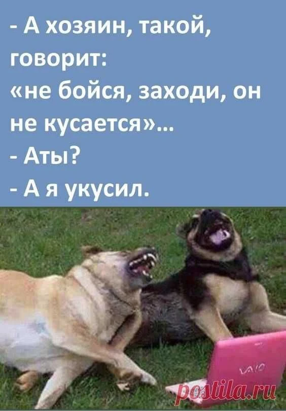 Юмор | Приколы | Мемы 👇🏻