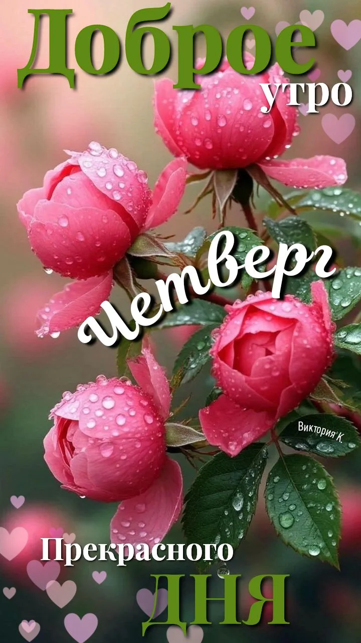 🥰 Ставьте реакции и делитесь открыткой с близкими ❤️