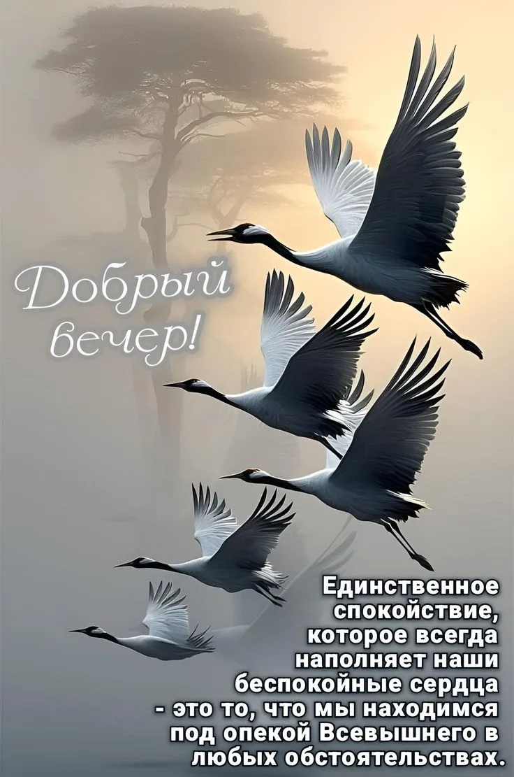 Подпишись 👇
Твои открытки • Открытки • Доброе утро • С днём рождения • Спокойной ночи