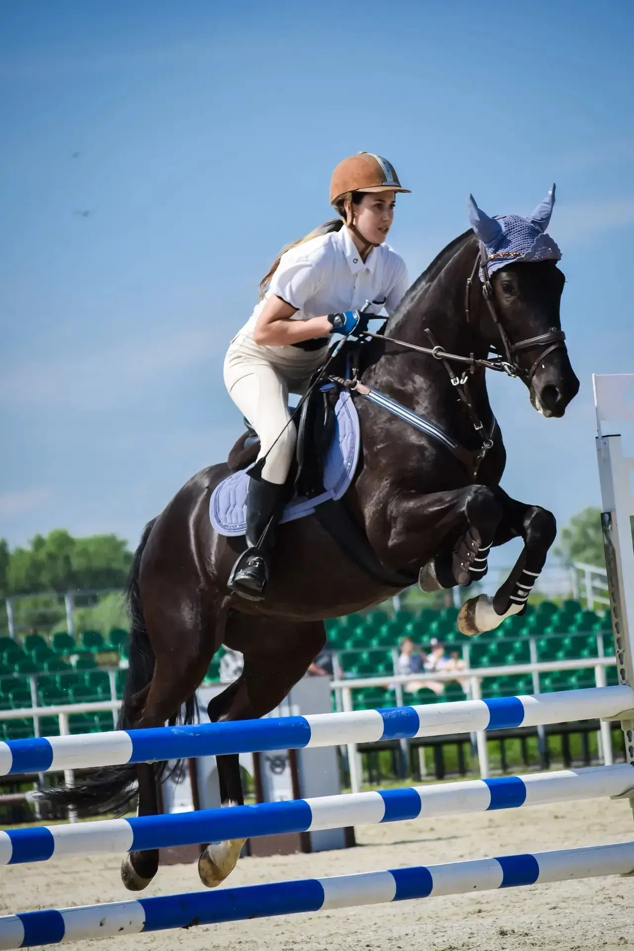 Мерин, спортивная помесь