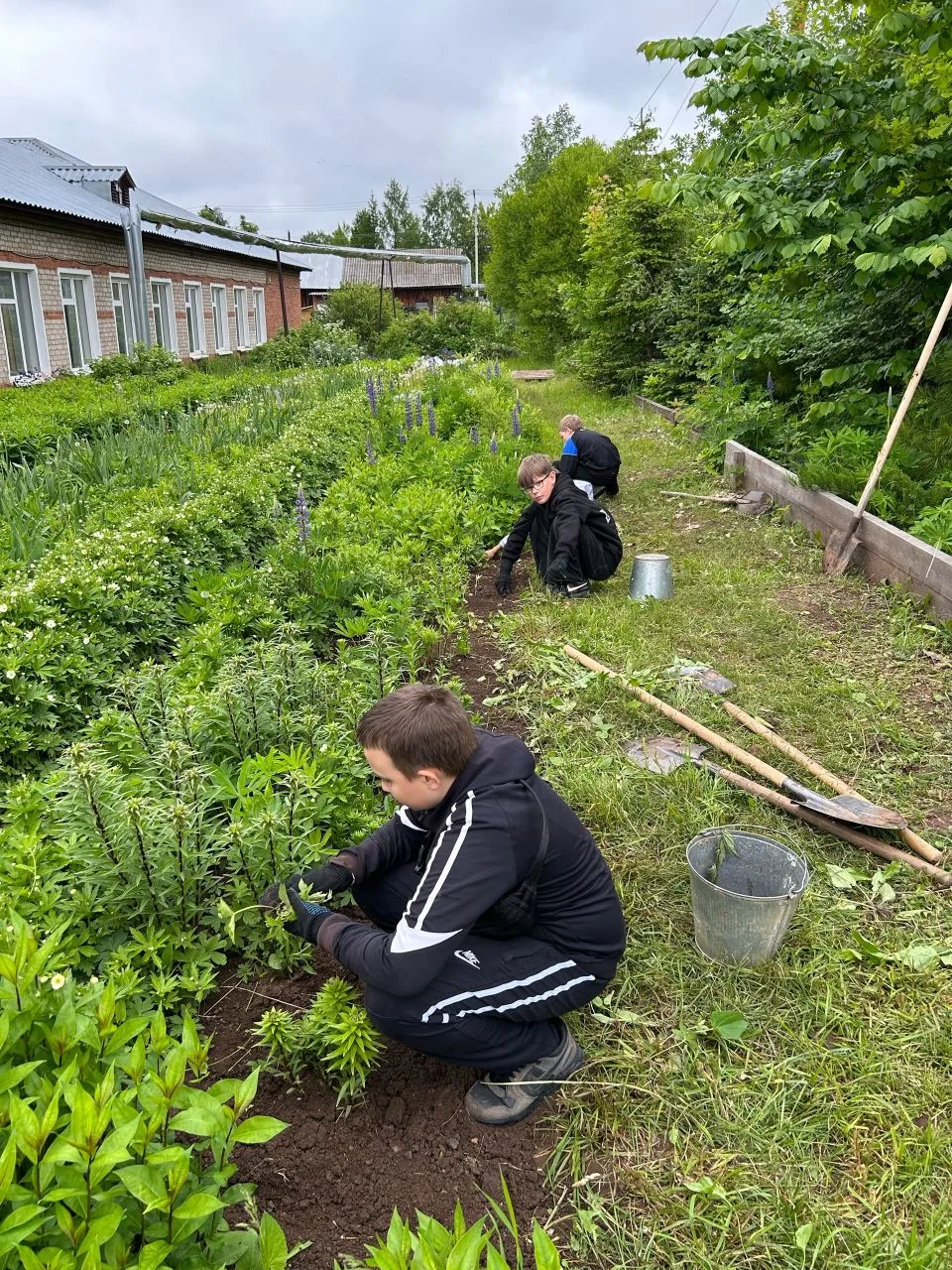 Трудовым отрядом "Дзоридзок" с 1 по 5 июня проделана большая работа: