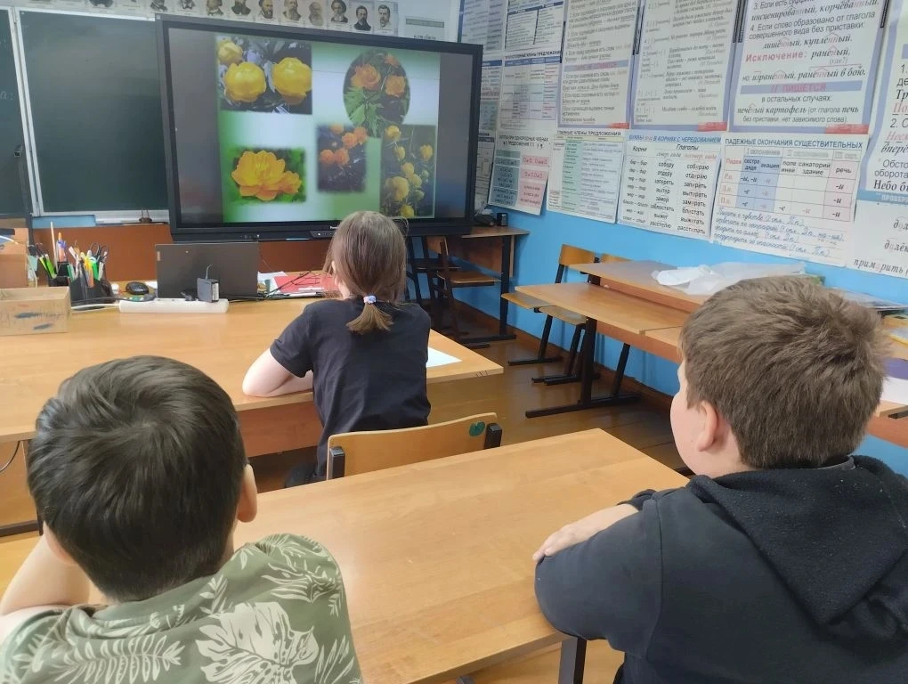 12 день продолжил насыщенную жизнь лагерной смены. День назывался " Природа Тверского края". После з