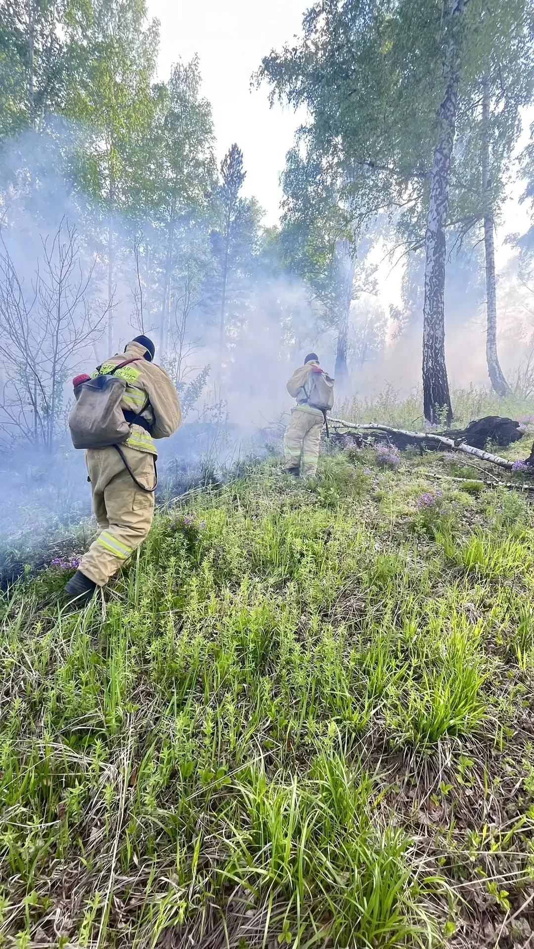 🚒 Сотрудники пожарной охраны КП-48 оказали помощь подразделениям Нижнеингашской пожарн...