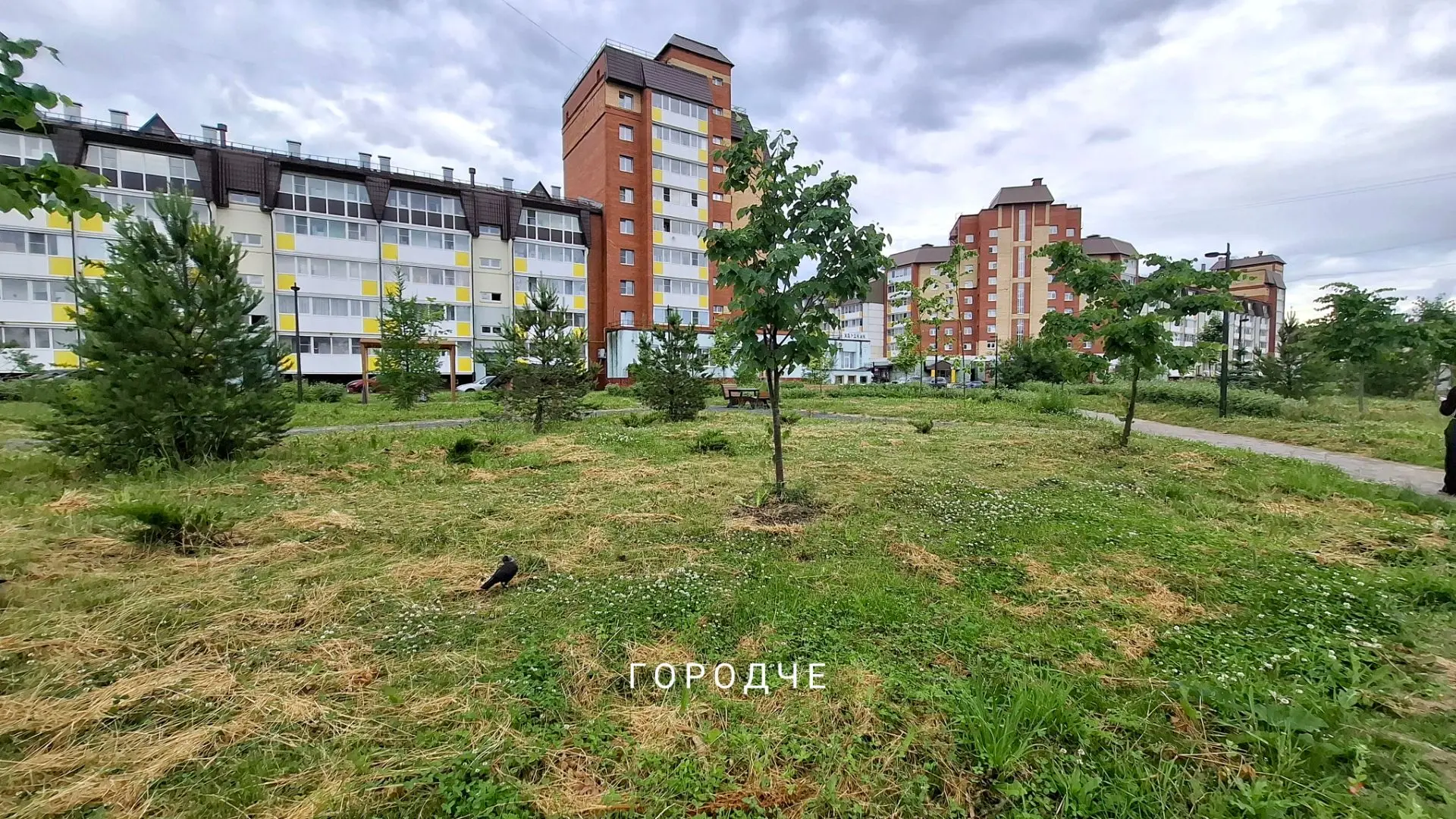 Приложение «Вологодский городовой» хорошо работает в Череповце.

Недавно жители пожаловались на заро