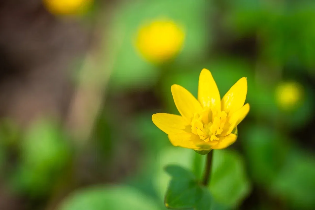 🌼 Несмотря на погоду, весна в Кинопарк пришла!   Вдохновляемся природой, а уже через три дня вновь н