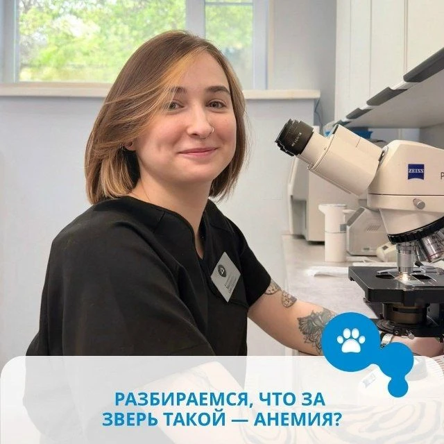 АНЕМИЯ — ЭТО СИМПТОМ ИЛИ ЗАБОЛЕВАНИЕ? 🩸
