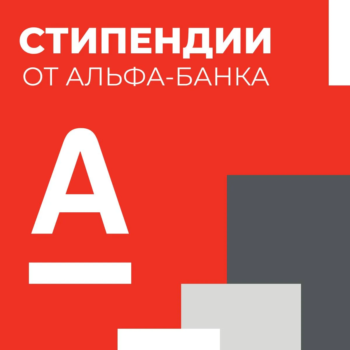 Стипендии для студентов, которые стремятся к новым знаниям и возможностям 🚀