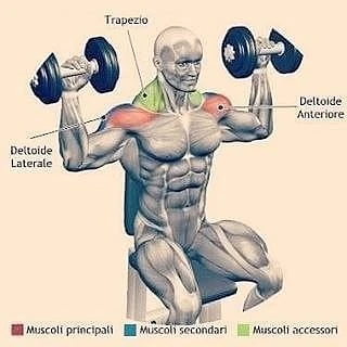 Вce, что нужно для твοиx плeч 💪