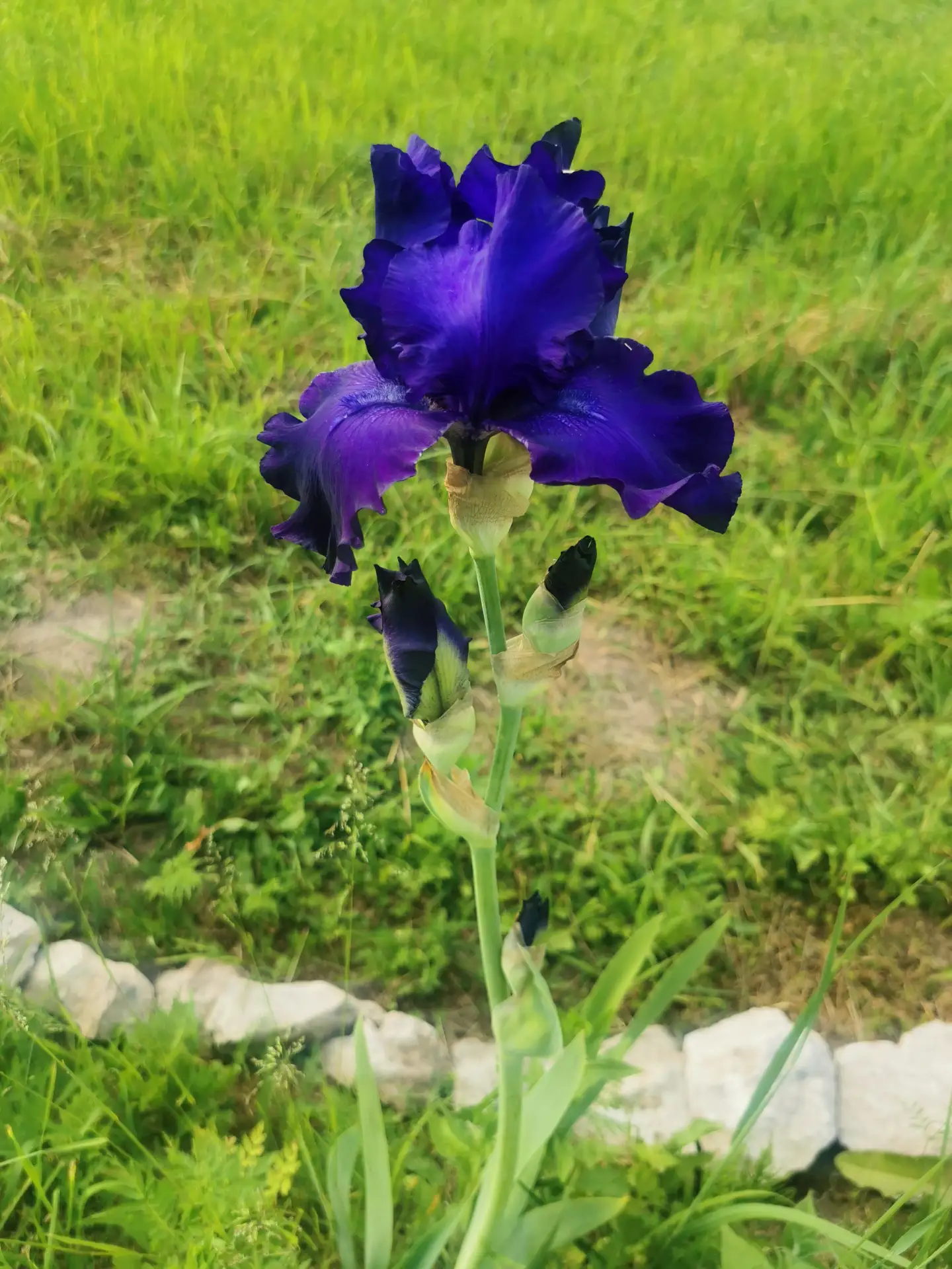 Моя прелесть 💜